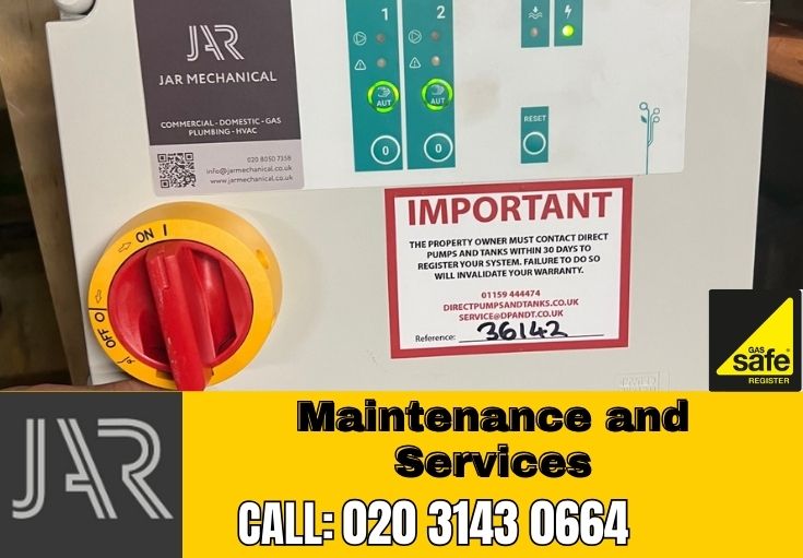 Domestic Maintenance and Services Barking